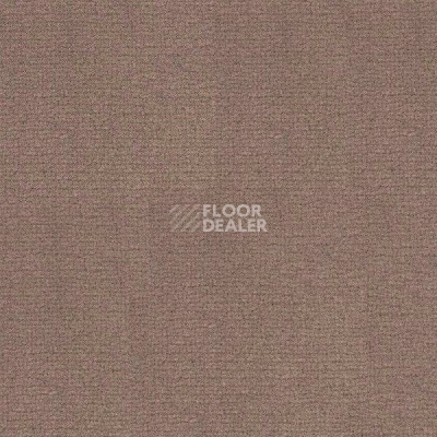 Ковролин Radici Abetone Tortora 4972 фото 1 | FLOORDEALER